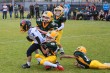 Thumbs/tn_IMG_1642.jpg