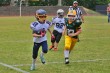 Thumbs/tn_IMG_1740.jpg