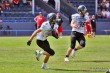Thumbs/tn_IMG_3718.jpg