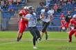 Thumbs/tn_IMG_3731.jpg