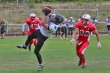 Thumbs/tn_IMG_3901.jpg