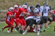 Thumbs/tn_IMG_3927.jpg