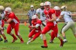Thumbs/tn_IMG_4844.jpg