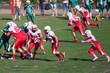 Thumbs/tn_IMG_33.jpg