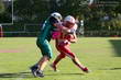 Thumbs/tn_IMG_47.jpg