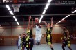 Thumbs/tn_IMG_9756.jpg
