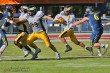 Thumbs/tn_IMG_0202.jpg