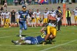 Thumbs/tn_IMG_0215.jpg