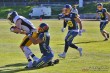 Thumbs/tn_IMG_0260.jpg