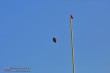 Thumbs/tn_IMG_0306.jpg