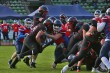Thumbs/tn_IMG_1057.jpg