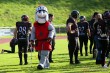 Thumbs/tn_IMG_1119.jpg