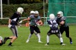 Thumbs/tn_IMG_1663.jpg