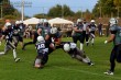 Thumbs/tn_IMG_1800.jpg