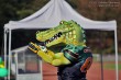 Thumbs/tn_IMG_2516.jpg