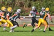 Thumbs/tn_IMG_2739.jpg