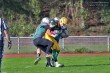 Thumbs/tn_IMG_2771.jpg