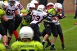 Thumbs/tn_IMG_3421.jpg