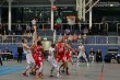 Thumbs/tn_IMG_3874.jpg