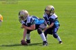 Thumbs/tn_IMG_1850.jpg