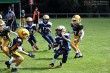 Thumbs/tn_IMG_1891.jpg
