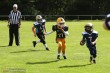 Thumbs/tn_IMG_1899.jpg