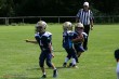Thumbs/tn_IMG_1930.jpg