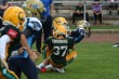 Thumbs/tn_IMG_1971.jpg