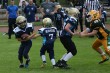 Thumbs/tn_IMG_1984.jpg