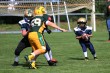 Thumbs/tn_IMG_2014.jpg