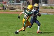 Thumbs/tn_IMG_2026.jpg