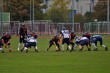 Thumbs/tn_IMG_2590.jpg