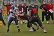 Thumbs/tn_IMG_2603.jpg