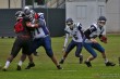 Thumbs/tn_IMG_2611.jpg