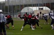Thumbs/tn_IMG_2685.jpg