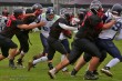 Thumbs/tn_IMG_2738.jpg