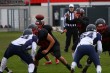Thumbs/tn_IMG_2763.jpg