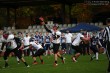 Thumbs/tn_IMG_3451.jpg