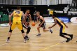Thumbs/tn_IMG_6033.jpg