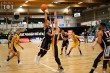 Thumbs/tn_IMG_6081.jpg