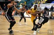 Thumbs/tn_IMG_6253.jpg
