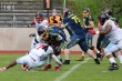 Thumbs/tn_IMG_7460.jpg