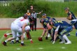 Thumbs/tn_IMG_7466.jpg