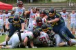 Thumbs/tn_IMG_7496.jpg