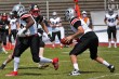 Thumbs/tn_IMG_7815.jpg