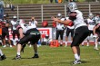 Thumbs/tn_IMG_7818.jpg