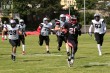 Thumbs/tn_IMG_7835.jpg