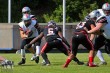 Thumbs/tn_IMG_7959.jpg