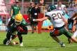 Thumbs/tn_IMG_8513.jpg