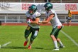 Thumbs/tn_IMG_8668.jpg